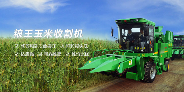 乐竟体育乐竟体育  路路畅通